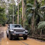 Sunshine Coast: Hinterland Adventure Private 4WD Jeep Tour - Practical Aspects and What to Pack