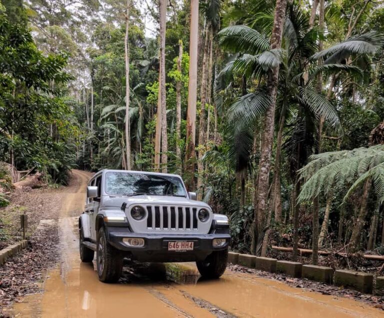 Sunshine Coast: Hinterland Adventure Private 4WD Jeep Tour - Practical Aspects and What to Pack