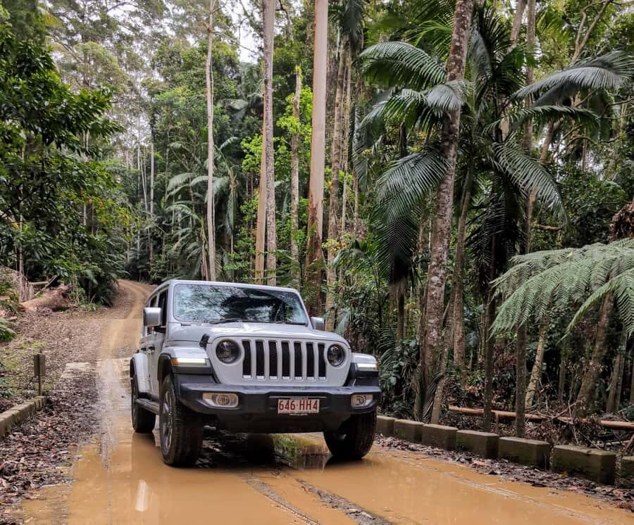 Sunshine Coast: Hinterland Adventure Private 4WD Jeep Tour - Practical Aspects and What to Pack