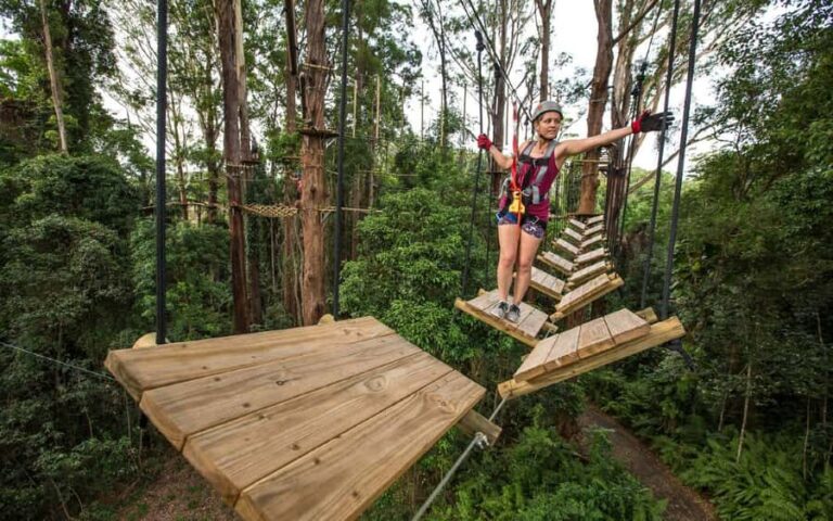 Sunshine Coast: Treetop Challenge Adventure Park - Authentic Feedback from Visitors