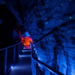 SUPER DEAL: Ruakuri Caves, Te Puia Rotorua & Blue Springs - The Journey Begins: Leaving Auckland