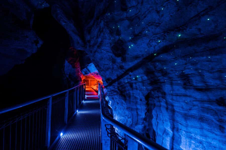 SUPER DEAL: Ruakuri Caves, Te Puia Rotorua & Blue Springs - The Journey Begins: Leaving Auckland
