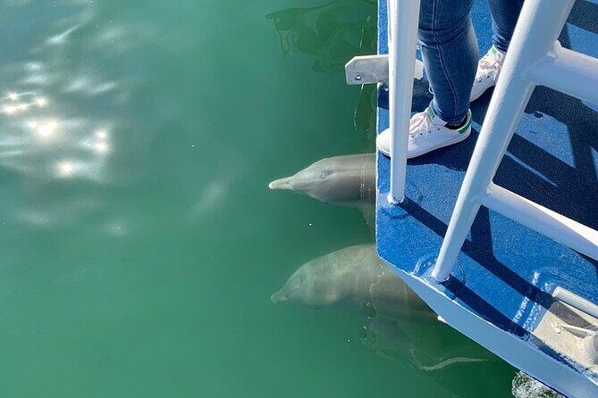 Surfers Paradise Sightseeing Midday River Cruise - Frequently Asked Questions