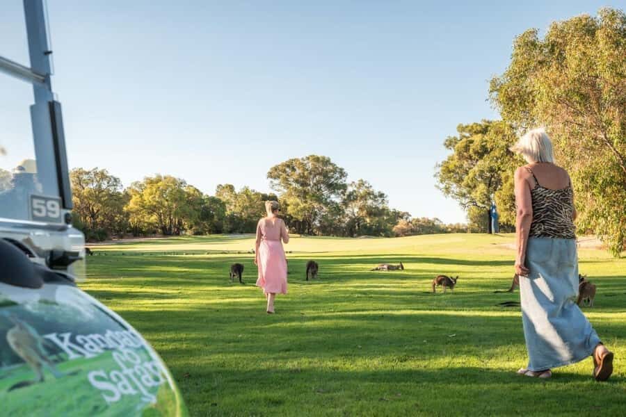 Swan Valley: Golf Cart Kangaroo Safari w/ Mini Golf & Drink - Authentic Feedback from Participants