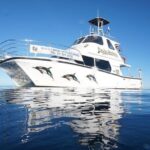 Swim With Wild Dolphins in Tauranga - The Itinerary: Breaking Down the Experience