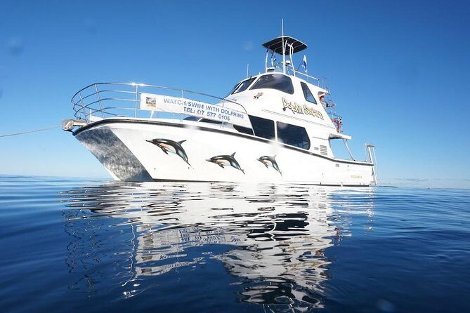 Swim With Wild Dolphins in Tauranga - The Itinerary: Breaking Down the Experience