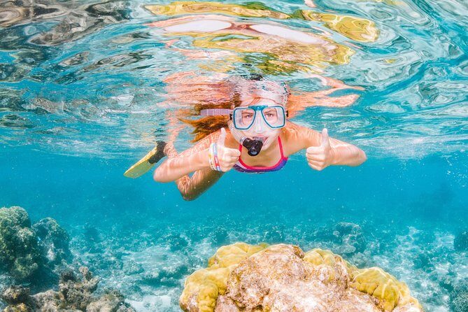 Swimming with the Whale Sharks - Ningaloo Reef (Exmouth) - Who Will Love This Tour?
