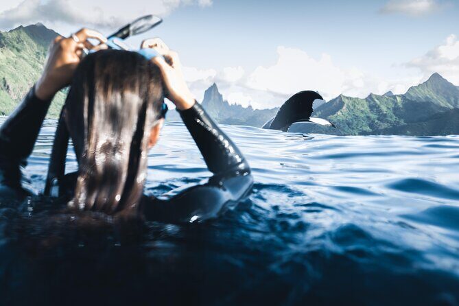 Swimming with Whales in Moorea (Half Day tour) - Who Should Book This Tour?