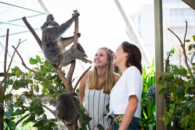 Sydney Attractions Pass: SEA LIFE Aquarium, Sydney Tower Eye, WILD LIFE Zoo and Madame Tussauds - Itinerary Breakdown and Visitor Experience