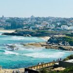 Sydney Beaches Half Day Drive and Walk Tour - Inside the Experience: What You Can Expect