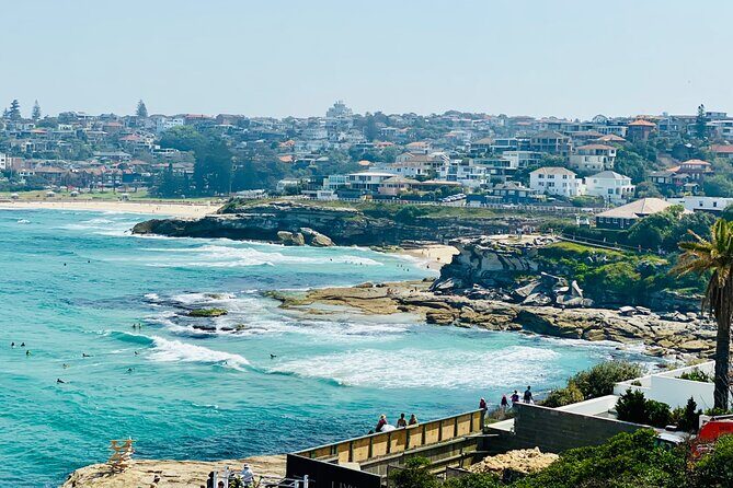 Sydney Beaches Half Day Drive and Walk Tour - Inside the Experience: What You Can Expect