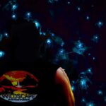 Sydney: Blue Mountains Glow Worms Wild Adventure by Night - The Value of the Night Adventure