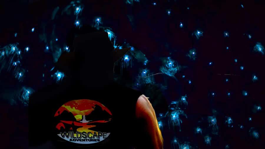 Sydney: Blue Mountains Glow Worms Wild Adventure by Night - The Value of the Night Adventure