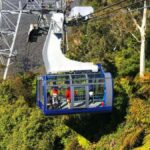 Sydney: Blue Mountains Half Day Scenic World & Lookout Tour - The Experience Through the Eyes of Past Travelers