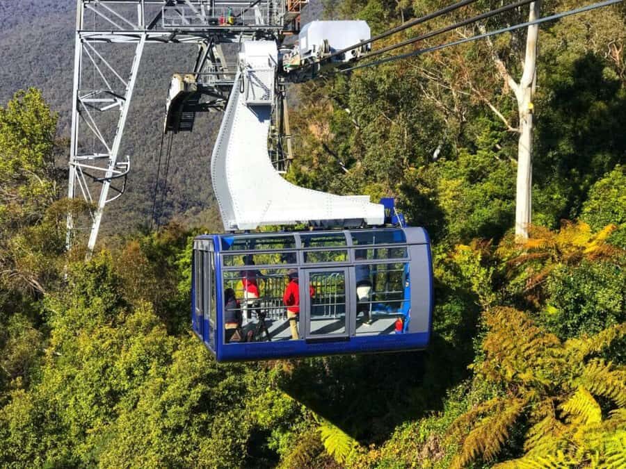Sydney: Blue Mountains Half Day Scenic World & Lookout Tour - The Experience Through the Eyes of Past Travelers
