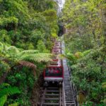 Sydney: Blue Mountains, Scenic World, Zoo & Lincoln's Rock - What to Expect: A Day of Scenic Wonders and Wildlife