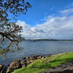 Sydney: City Hidden Gem Half-Day Tour - What to Expect: The Experience in Detail