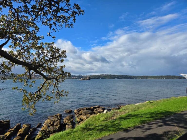 Sydney: City Hidden Gem Half-Day Tour - What to Expect: The Experience in Detail