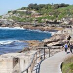 Sydney City Highlights & Hidden Gems: Private or Small Group Tour - Authentic Insights from Travelers
