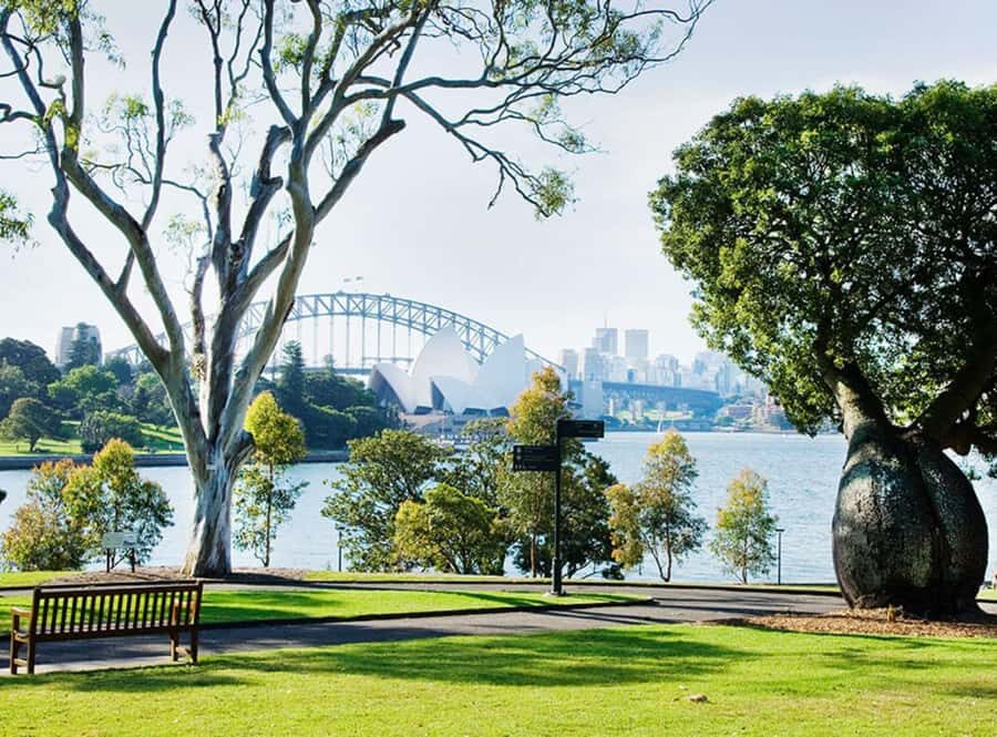 Sydney: City Hike with Opera Bar Lunch - Why This Tour Offers Great Value