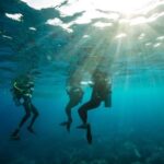 Sydney: Discover Scuba Dive at Australia's most Iconic Beach - Whats Included and Whats Not