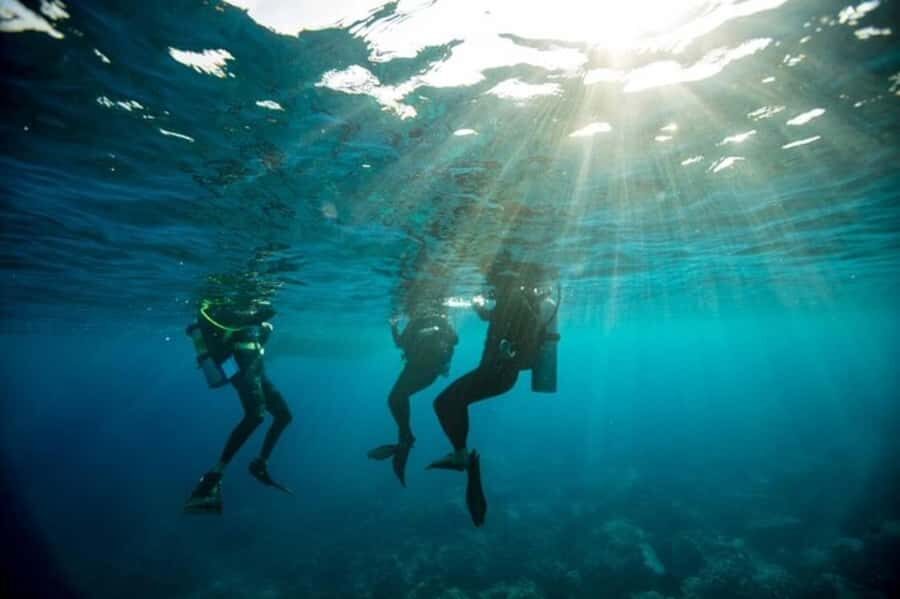 Sydney: Discover Scuba Dive at Australia's most Iconic Beach - Whats Included and Whats Not