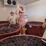 Sydney Grains and Grapes Hunter Valley Wine and Beer with Lunch - Frequently Asked Questions