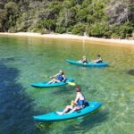Sydney: Guided Kayak Taster Tour from Manly - The Itinerary in Detail