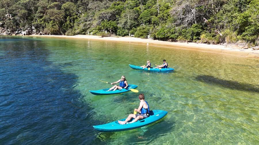 Sydney: Guided Kayak Taster Tour from Manly - The Itinerary in Detail