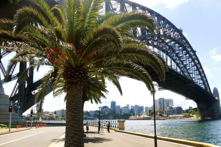 Sydney: Half-Day City Tour - Who Should Take This Tour?