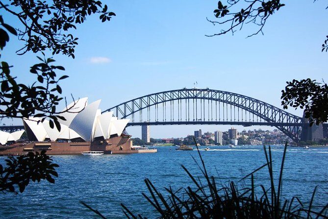 Sydney Half Day Private Tour: See Sydney Opera House and Bondi - Final Thoughts