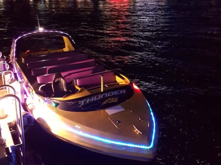 Sydney Harbour: 30 Minute Slow Jet Boat Vivid Cruise - What the Experience Looks Like