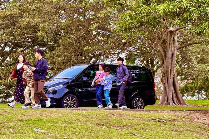 Sydney Harbour Whale Watching Experience - The Experience from Perspectives of Other Travelers