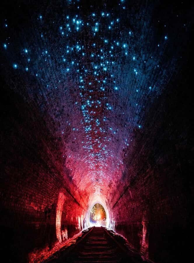 Sydney: Helensburgh Glow Worm Tunnel Tour with Transfer - Key Points