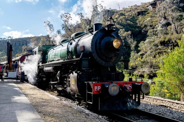 Sydney: Heritage Zig Zag Steam Train and Blue Mountains Tour - Final Thoughts