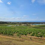 Sydney Hunter Valley Tour (Private) - What’s Included and What’s Not