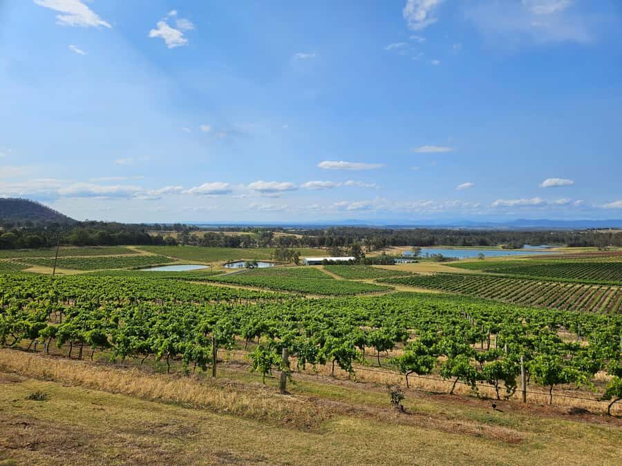 Sydney Hunter Valley Tour (Private) - What’s Included and What’s Not