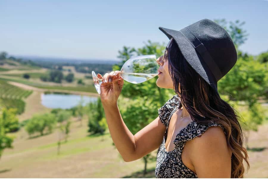Sydney: Hunter Valley Wineries Day Trip with Food Tastings - Authenticity and Value: What the Reviews Say