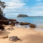 Sydney: Ku-ring-gai Chase National Park with Hike, Swim, Picnic - Who Should Consider This Tour?