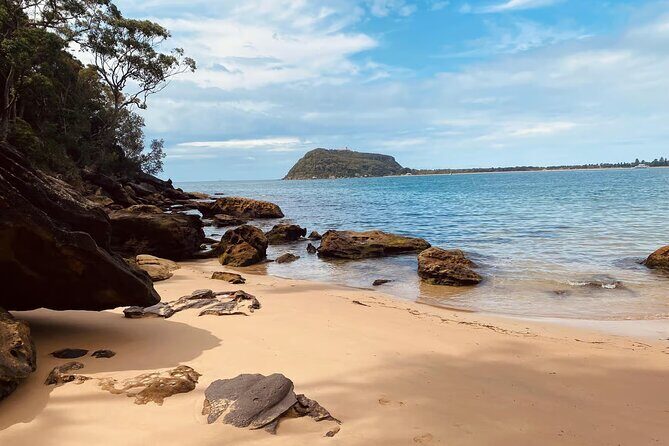Sydney: Ku-ring-gai Chase National Park with Hike, Swim, Picnic - Who Should Consider This Tour?