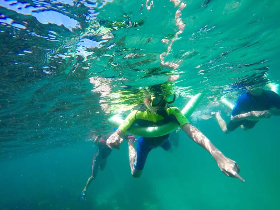 Sydney: Manly and Shelly Beach Snorkeling Tour - The Scenic Nature Walk and Coastal Heritage
