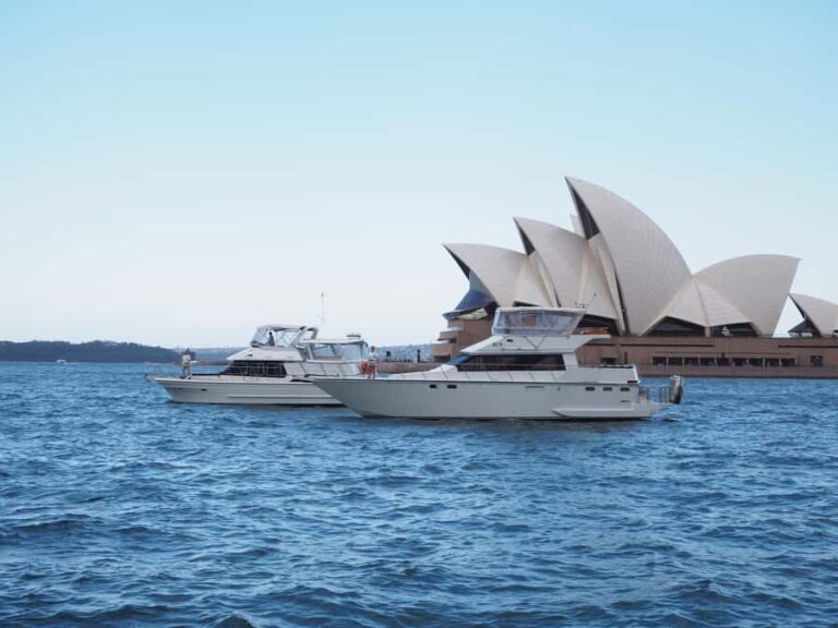 Sydney: Morning Cruise and Afternoon Panoramic City Tour - Who Will Love This Tour?