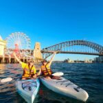 Sydney: Opera & Harbour Bridge Small-Group Kayak Tour - The Itinerary Breakdown