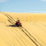 Sydney: Port Stephens Private Day Tour - Exploring the Iconic Dunes: Sandboarding
