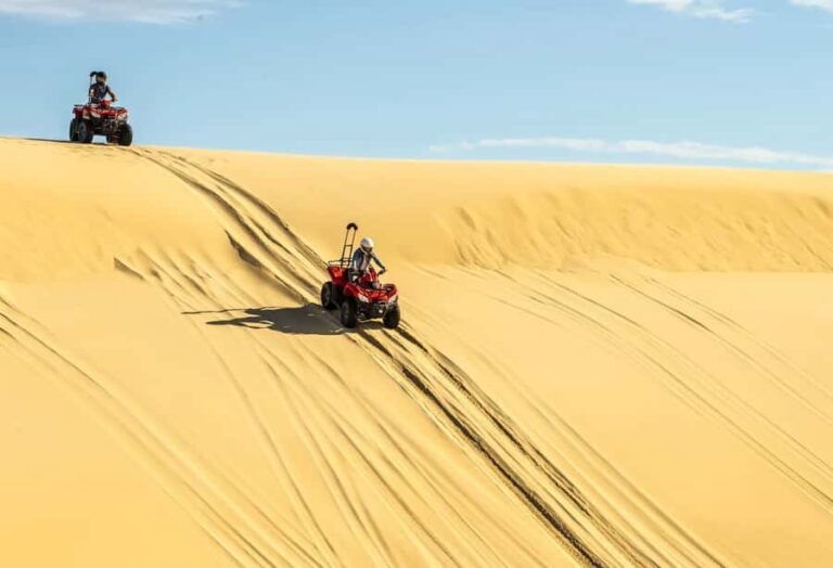 Sydney: Port Stephens Private Day Tour - Exploring the Iconic Dunes: Sandboarding