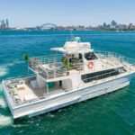 Sydney: Premium Catamaran Vivid Cruise with Welcome Drink - What Makes the Experience Special?