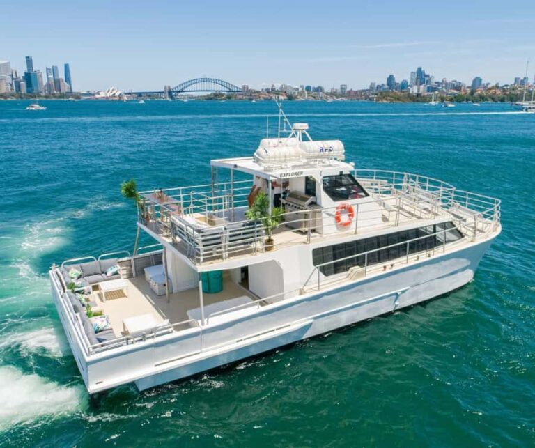Sydney: Premium Catamaran Vivid Cruise with Welcome Drink - What Makes the Experience Special?