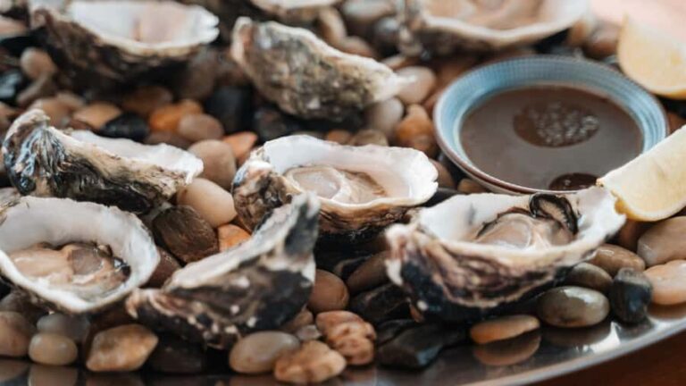 Sydney: Private 4-Hour Luxury Harbour Yacht Cruise and Swim - The Itinerary in Detail