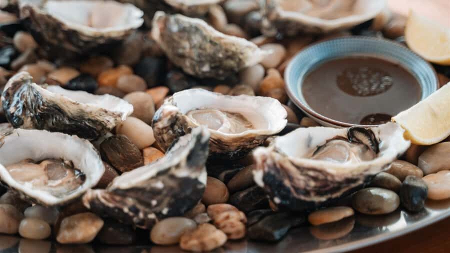 Sydney: Private 4-Hour Luxury Harbour Yacht Cruise and Swim - The Itinerary in Detail