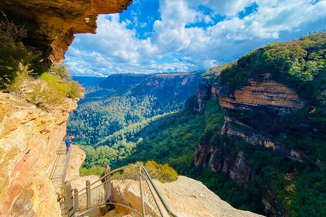 Sydney: PRIVATE Blue Mountains, Wildlife & Cruise Luxe Tour (10h) - The Experience of a Lifetime for the Right Traveler